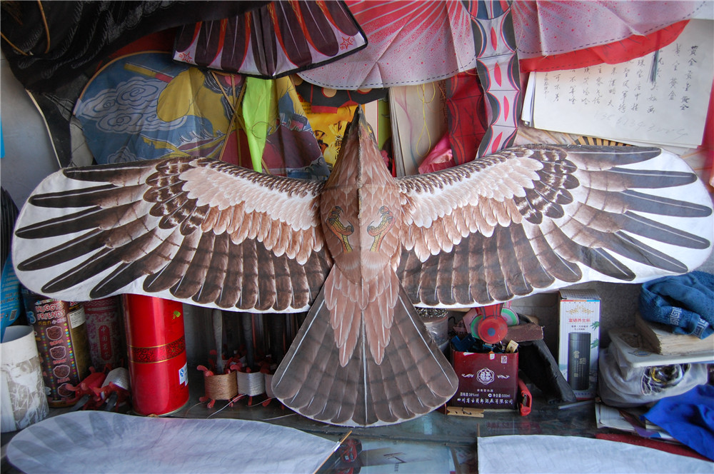 1、内容：黄保国制作的盘鹰风筝。摄影：雷志军。.jpg
